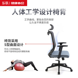 乐歌办公椅人体工学护腰电脑椅家用椅子升降座椅扶手护腰转椅Y22L