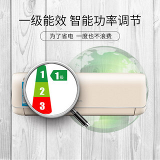 奥克斯（AUX）正1.5匹 冷暖 变频 制冷 壁挂式空调挂机KFR-35GW/BpTYC1+1一价全包（包8米铜管）