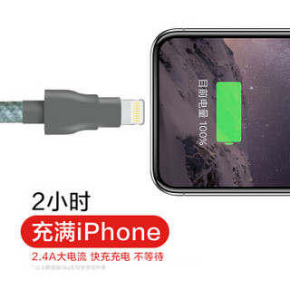 iSky 苹果数据线MFi认证Xs/Max/XR/X/8/7 苹果充电线加长iPhone6sPlus/5X/iPad pro苹果原装端子（3米灰色）