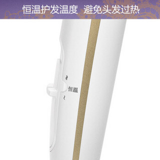 飞利浦 （PHILIPS）电吹风机 恒温快干护发负离子 2200瓦 家用吹风机 颐和园专属礼盒HP8239/05BP