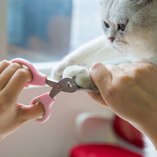 神经猫宠物猫指甲剪狗狗指甲钳猫咪泰迪指甲刀大中小型宠物用品