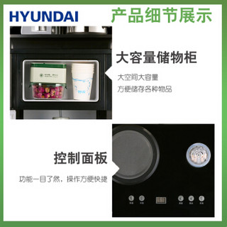 HYUNDAI (现代) 茶吧饮水机家用下置式速热型 BL-C