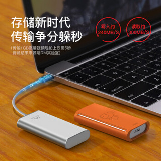 大迈（DM）256GB Type-c USB3.1 移动固态硬盘（PSSD）FS300系列 典雅银 迷你便携 高速传输