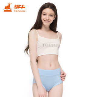 TOPNEW 铜牛 6523-9688 内裤女士内裤春夏新款粘纤舒适中高腰大码3条装女三角内裤VC027 紫肤灰 170/95