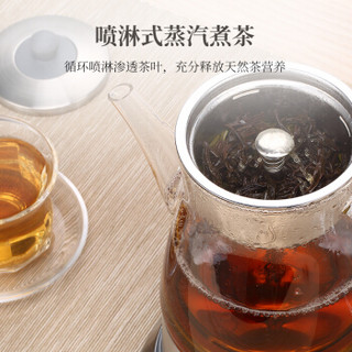 鸣盏 煮茶器 养生壶 煮茶壶泡茶壶玻璃蒸汽喷淋式热水壶电水壶0.8L MZ-8008