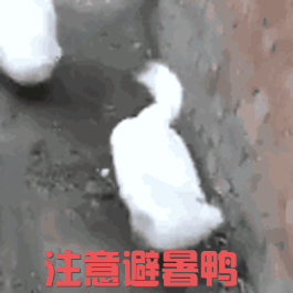 清凉避暑好价 最强剁手清单