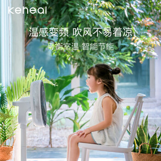 科西逸尔 KEHEAL F2 五档以上 空气循环扇