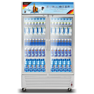 德玛仕 DEMASHI 商用双门冷藏展示柜 超市立式陈列留样水果保鲜冰饮料冷冻啤酒冰箱 LG-680F