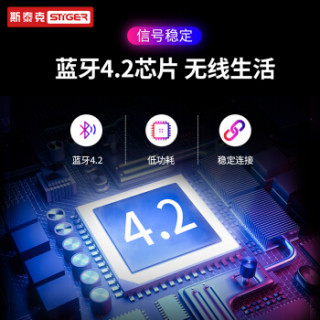 斯泰克 车载蓝牙车载mp3车载蓝牙播放器 多功能免提电话 双USB拓展TYPE-C快充接口 TF卡U盘播放 C21黑色