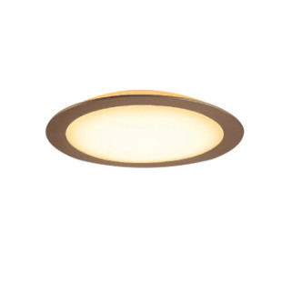 PHILIPS/飞利浦 led圆形大吸顶灯 hue吸顶灯 铝原色 68W