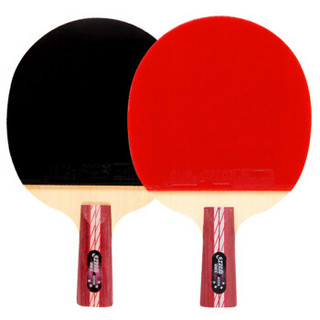 红双喜DHS 经典四星级直拍对拍套装两只成品拍双面反胶送乒乓球(4006对拍)