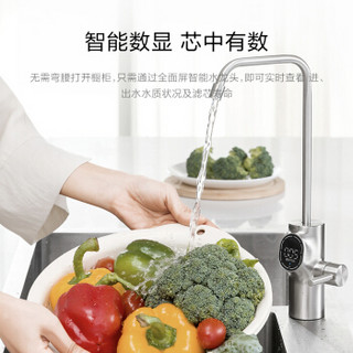 BUGU 布谷 BG-W1 RO反渗透净水器 PRO版 400G