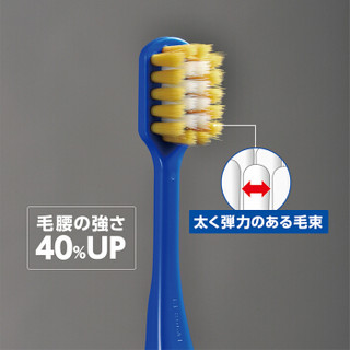 惠百施（EBISU）日本进口高弹力速净宽头牙刷 高效洁净成人中毛 2支装