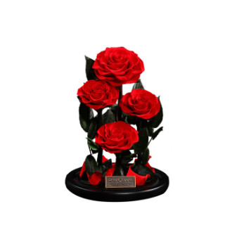 【rosequeen永生花】rosequeen 永生花玫瑰鲜花玻璃罩礼盒生日礼物送