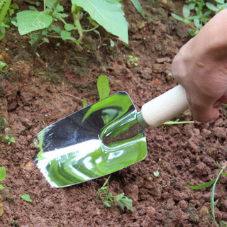 GREENLIFE 园艺工具铲子盆栽养花多肉种植种菜种花工具  HS-JHBF