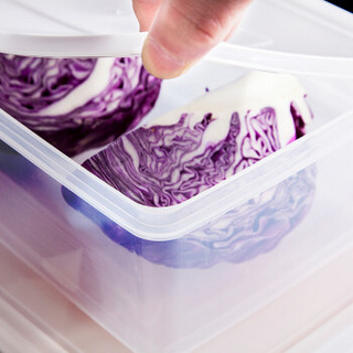 Welshine 惠而信Welshine 0272-保鲜盒 冰箱收纳盒塑料保鲜盒储物盒 密封盒生鲜蔬菜水果冷藏冷冻盒 6.5L-6个装/箱