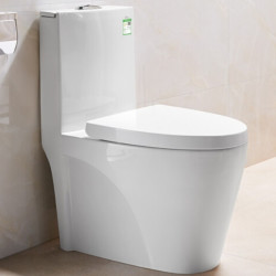 ssww浪鲸co1115虹吸式节水防臭抽水马桶