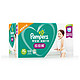 Pampers 帮宝适 超薄干爽拉拉裤 XL108片 *3件