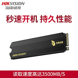 HIKVISION 海康威视 C2000 PRO 固态硬盘 512GB