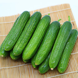 鲜姿 新鲜水果小黄瓜 5斤装