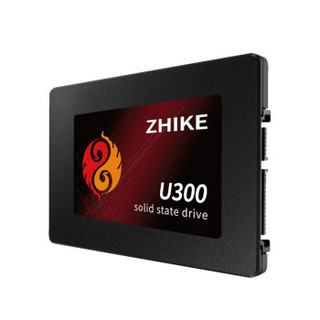 ZHIKE 挚科 U300系列 SATA 固态硬盘 960GB