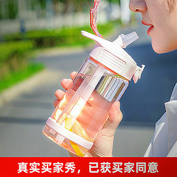 吸管杯大人女学生塑料水杯少女ins风可爱韩版成人便携夏天杯子用
