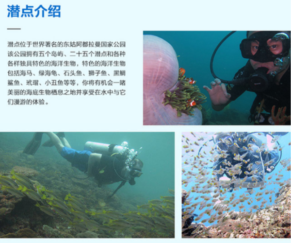 马来西亚 沙巴亚庇 AOW/OW潜水考证(五星潜水中心)