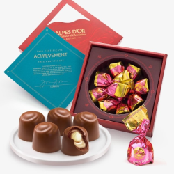 Alpes d'Or 爱普诗 榛仁夹心牛奶巧克力礼盒 100g