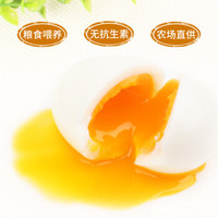 DQY ECOLOGICAL 德青源 鸡蛋 32枚