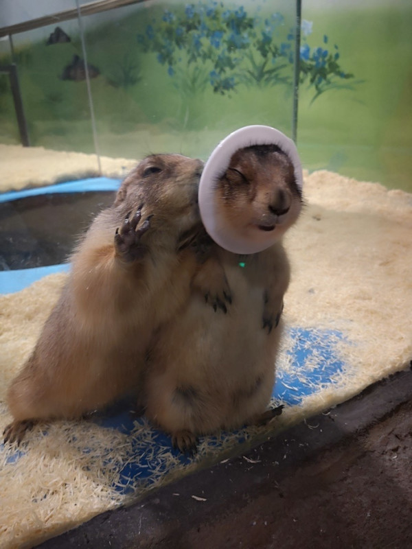 魔都大型室内动物园上海茱莉の动物园