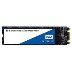 Western Digital 西部数据 BLUE WDS100T2B0B 1TB M.2 2280 SSD 固态硬盘