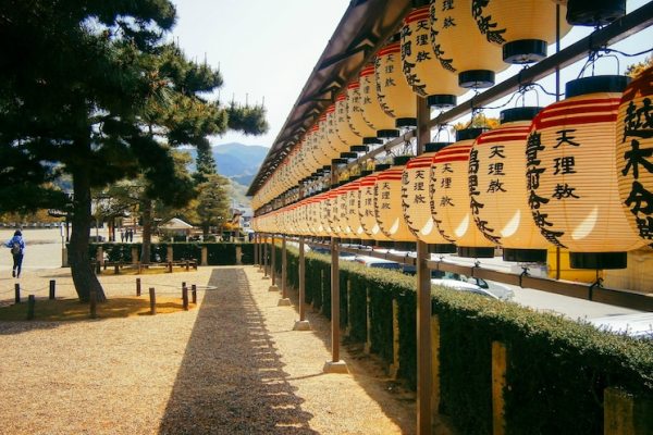 环游世界80天!6大洲, 18个国家,体验非凡冒险