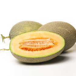 豆大录 新疆哈密瓜 西州蜜瓜 5斤