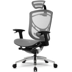 Ergoup 有谱 电脑椅 人体工程学椅子 家用护腰办公椅