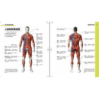 《DK男性健身指南》