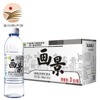 VA-KIN 画景 弱碱性矿泉水 (500ml、15瓶 )