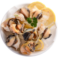 美加佳 冷冻土耳其海螺肉 250g