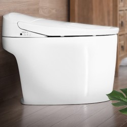 TOSHIBA 东芝 A3-85B6 智能马桶一体机