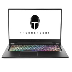 ThundeRobot 雷神 五代新911GT2 17.3英寸笔记本电脑(i7-9750H、16GB、 512GB+1TB、RTX2060、144Hz)