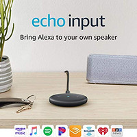 Echo Input 智能拾音器