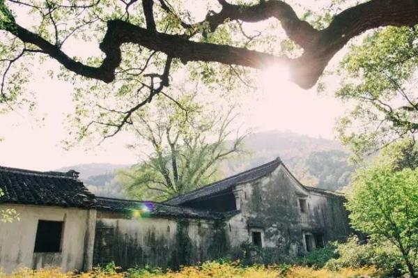 一站式度假!慈溪达蓬山大酒店1晚(55㎡客房+双早+双晚+温泉+环湖乐园+仙佛谷)