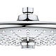 GROHE 高仪 Euphoria 奥菲莉亚系列 260 沐浴喷头 26455000 铬白