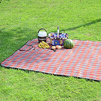葡萄与提子 家居户外野餐垫