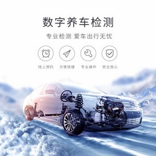 瓜子养车 数字养车检测 全车62项专业检测 （含材料和施工工时费）