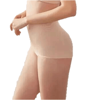 ordifen 欧迪芬 塑身内裤 高腰三角裤塑身裤调整型塑裤  XT8101  棕色  XL