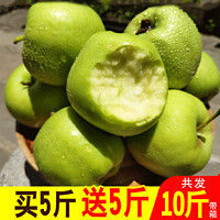六井 青苹果水果新鲜当季整箱10斤