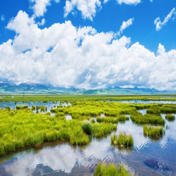 偏国庆有票！全国多地-兰州