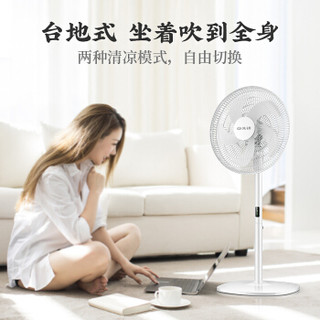 SINGFUN 先锋 DLD-D11 三档调节 落地扇
