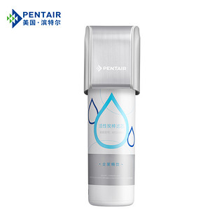 美国.滨特尔（PENTAIR）厨下式家用直饮净水器 2500L