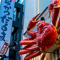 特价机票：合肥-日本大阪5天往返含税（回程行李额升级至20KG）